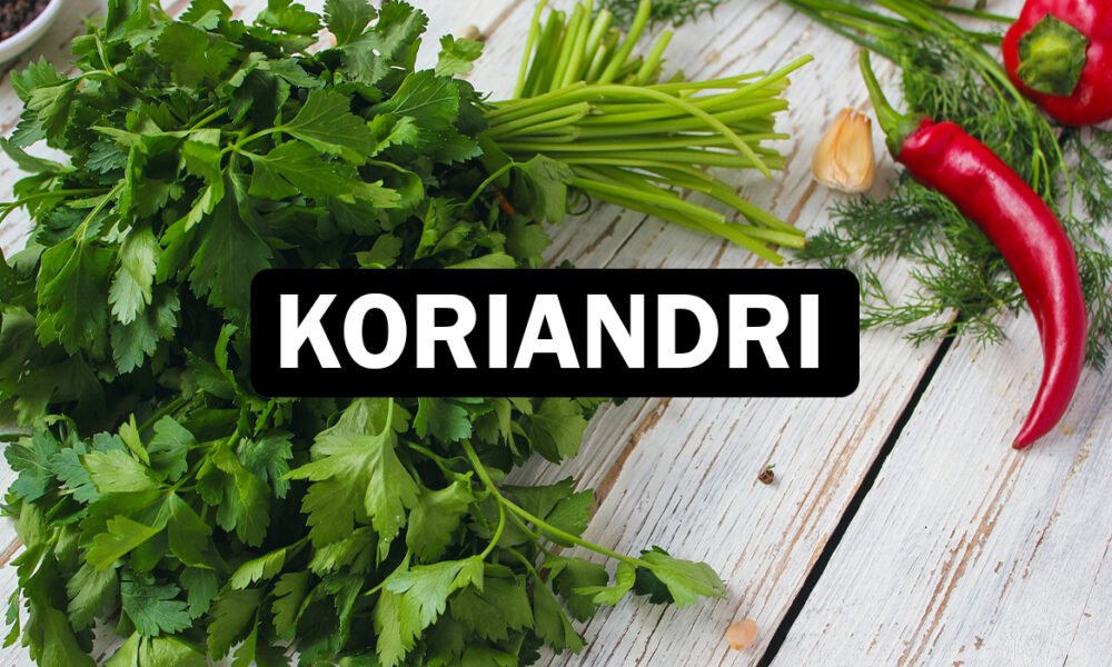 Koriandri