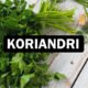 Koriandri